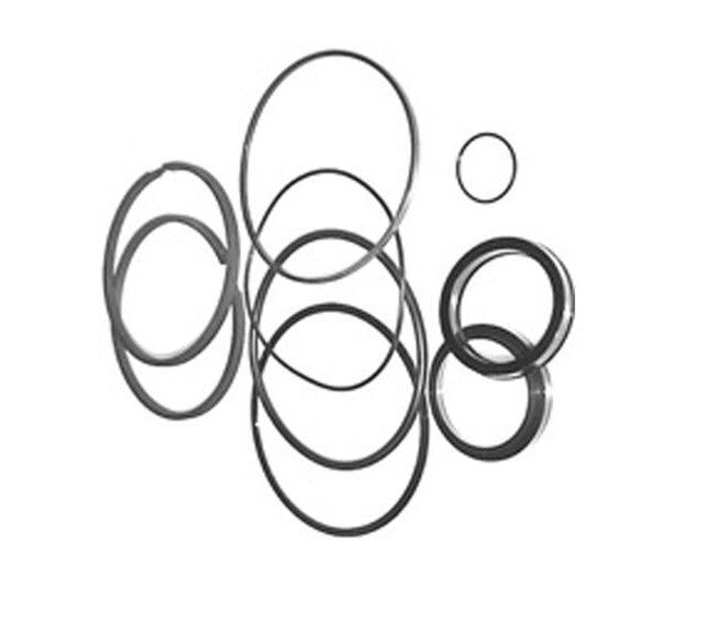 1C4655: Hydraulic Cylinders Seal Kit, 5" Bore 2" Rod