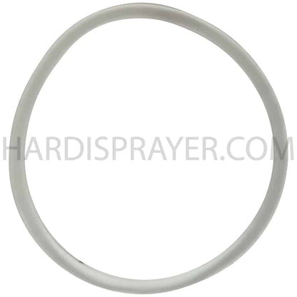 Hardi 332205: O-Ring D43/39 x D2